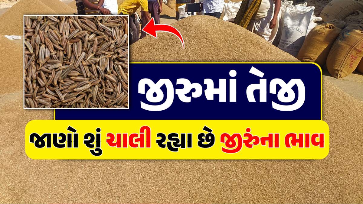 જીરુંના ભાવ